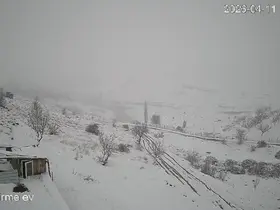 Köye inen kurt sürüsü kameraya yansıdı
