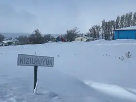 Köyün kâbusu olan kurtlar için araziye yiyecek bırakıldı
