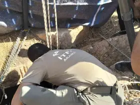 Koyun otlatırken kuyuya düşen şahıs hayatını kaybetti
