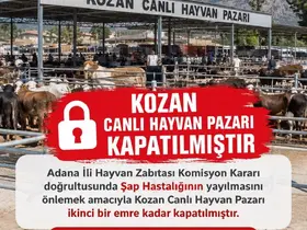 Kozan canlı hayvan pazarı şap hastalığı nedeniyle kapatıldı
