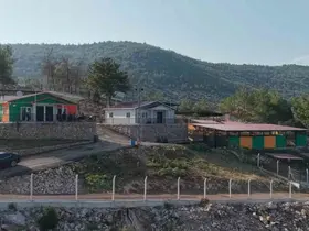 Kozan’da hedef sıfır sahipsiz sokak hayvanı
