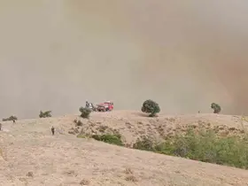 Kozan’da orman yangını: 5 helikopter, 2 uçakla mücadele sürüyor
