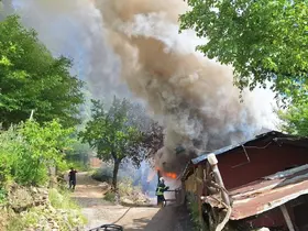 Kozan’da yayla evindeki yangın ormana sıçradı, ekipler müdahale ediyor
