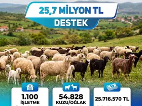 Küçükbaş üreticisine 25,7 milyon liralık can suyu

