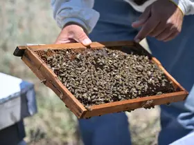KUDAKA’dan arıcılık sektörünün geleceğine yön verecek dev adım
