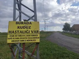 Kuduz nedeniyle mahalleye giriş çıkışlar yasaklandı
