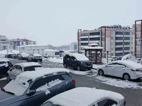 Kulp’ta beyaz esaret devam ediyor
