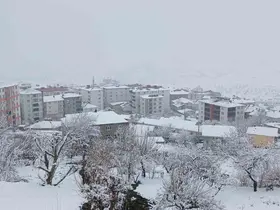 Kulp’ta kar esareti: Köy yolları kapandı, ilçe trafiği kilitlendi

