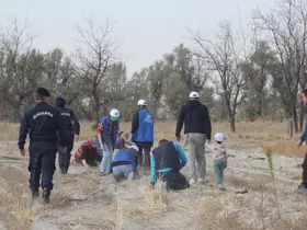 Kulu ve Karapınar’da fidanlar toprakla buluştu