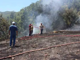 Kumluca’da makilik alanda çıkan yangın, evlere ve ormanlık alana sıçramadan söndürüldü

