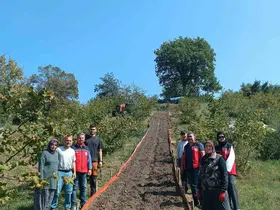 Kumluca’da Salep dikimi gerçekleştirildi
