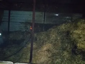 Kumlu’da samalık yangını
