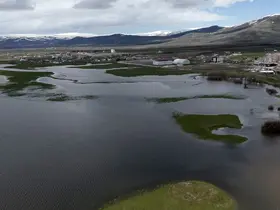 Kura Nehri taştı, tarım arazileri sular altında kaldı
