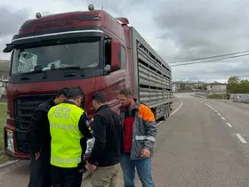 Kurban Bayramı öncesi Aydıntepe’de yol kontrolleri devam ediyor
