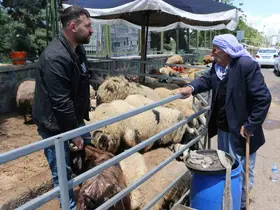 Kurban pazarında sessizlik: Satıcılar son günleri bekliyor
