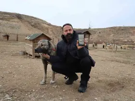 Kurtlar yerleşim yerlerine dadandı, uzmanı çare olarak Kangalları gösterdi
