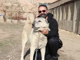 Kurtlar yerleşim yerlerine dadandı, uzmanı "Doğa insanı uyarıyor" dedi

