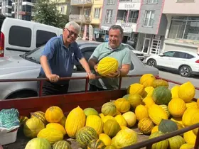 Kuruçay kavunu tezgahlarda

