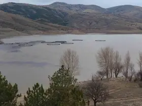Kurumaya yüz tutan barajda doluluk oranı yüzde 50 seviyelerine yaklaştı
