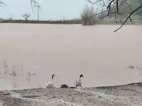 Kuruyan Sülüklü Göl yeniden canlandı
