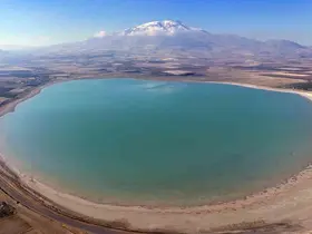 Kuş cenneti Arin Gölü gün geçtikçe alan kaybediyor
