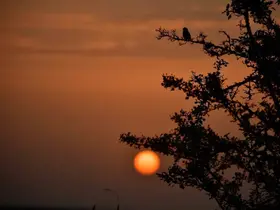 Kuş Cenneti’nde sonbahar
