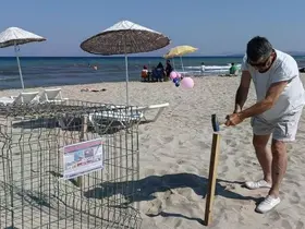Kuşadası’nda caretta carettalardan umutlandıran yuva
