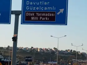 Kuşadası’nda leylekler geri döndü
