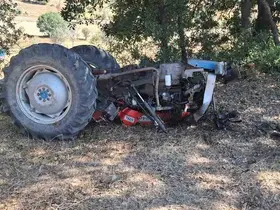 Kuşburnu toplamaya gitti, dönüşte canından oldu
