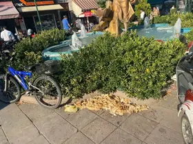 Kuşlar için bırakılan ekmekler çevre kirliliğine neden oldu
