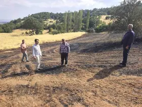 Kütahya Mustafalar köyünde yangın sonrası zarar gören alanlarda hasar tespit çalışması
