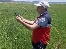 Kütahya’da arazi ve ürün kontrolleri yapıldı
