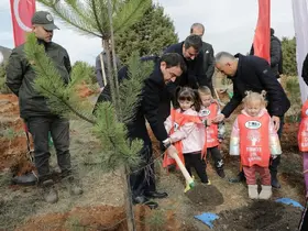 Kütahya’da hatıra ormanına 2 bin fidan dikildi
