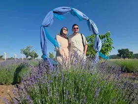 Kütahya’da lavanta bahçesi kırsal turizmin gözdesi oldu
