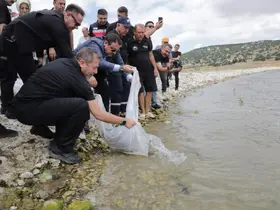 Kütahya’da Porsuk Barajı Göleti’ne 107 bin 500 balık yavrusu bırakıldı
