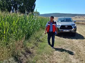 Kütahya’da silajlık mısır kontrolleri
