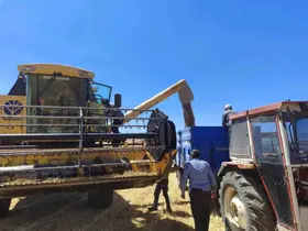 Kütahya’da yerli ve milli tohumlarda nohut hasadı gerçekleştirildi
