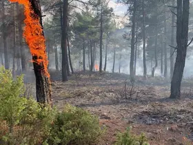 Kütahya’da yıldırım, orman yangınına neden oldu: 8 dekar alan zarar gördü
