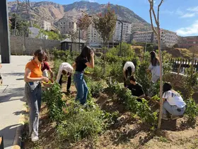 Kütüphane bahçesinde yetiştirdikleri sebzelerin hasadını gerçekleştirdiler
