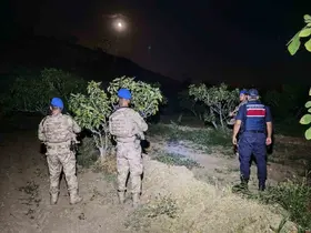 Kuyucak’ta jandarmadan incir nöbeti
