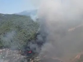 Kuyucak’ta orman yangını
