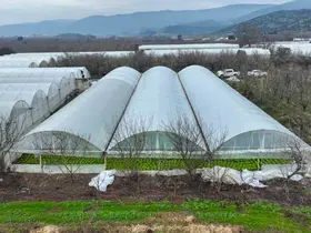Lodostan zarar gören seralara Büyükşehir desteği
