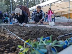 Mahalle bostanlarında kış dikimleri başladı

