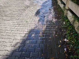 Mahallede tonlarca su boşa aktı

