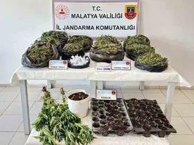 Malatya’da 13 kilo esrar ele geçirildi: 5 şahıs tutuklandı
