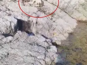 Malatya’da amatör balıkçı ile kedi arasındaki diyalog gülümsetti

