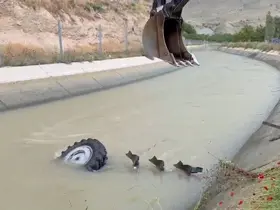 Malatya’da traktör kanala uçtu, sürücü son anda kurtuldu
