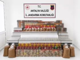 Manavgat’ta 36 bin makaron, 35 kilo kıyılmış tütün ele geçirildi
