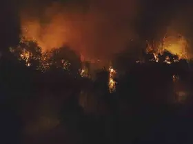 Manavgat’ta ırmak kenarındaki yangın korkuttu
