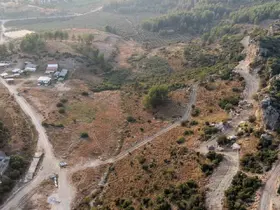 Manavgat’ta sokak hayvanlarına 75 dönümlük yaşam alanı
